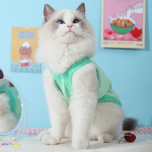Chaleco Fresco para Gatos - Ropa Delgada de Verano - Image 2