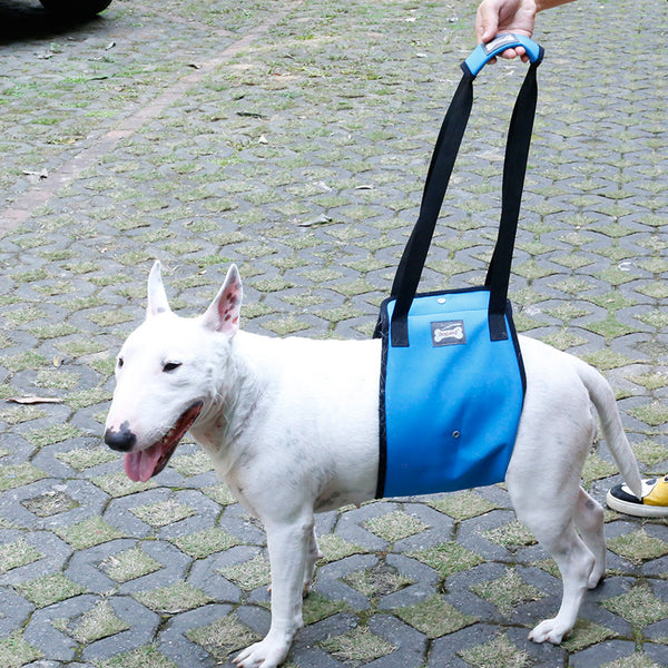 Cinturón de Soporte para Lesiones en Patas de Mascotas