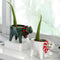 Maceta Decorativa de Cerámica con Diseño de Gato y Cactus