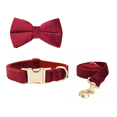Collar de Mascota Velvet con Cuerda de Tracción - Image 4