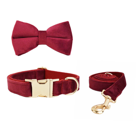 Collar de Mascota Velvet con Cuerda de Tracción - Image 4