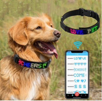 Collar Inteligente Antipérdida para Perros con GPS Recargable - Image 9