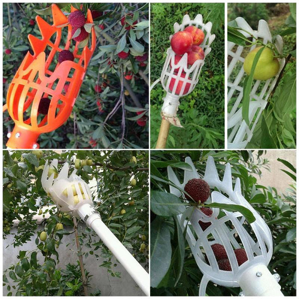Recolector de Frutas para Alturas