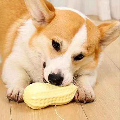 Juguete Masticable para Perros y Gatos con Sonido de Cacahuete
