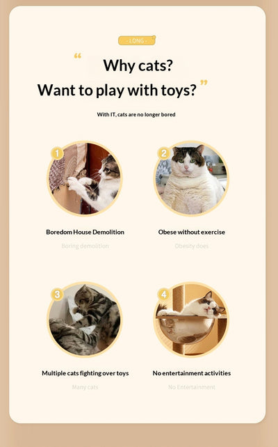 Juguete Interactivo para Gatos con Control Remoto y Sonido - Image 8