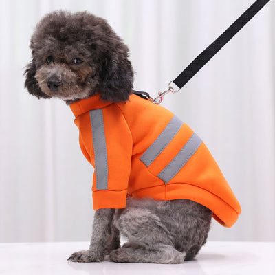 Suéter Reflectante para Paseos Nocturnos - Ropa para Perros y Gatos - Image 27