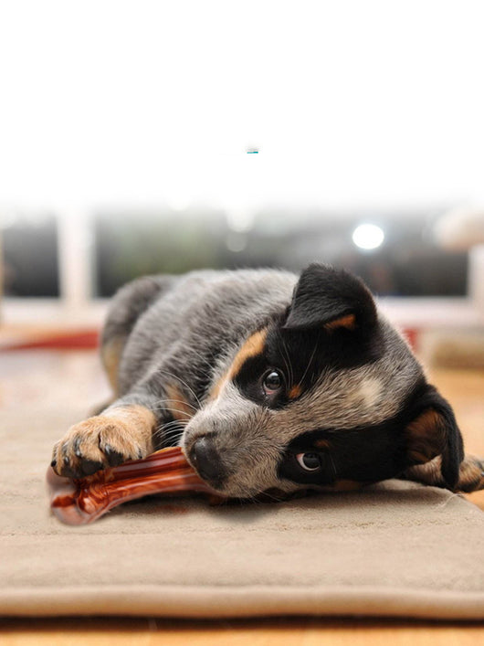 Hueso Dental Resistente para Perros con Aroma a Carne