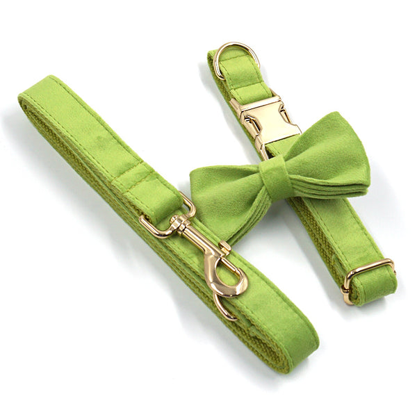 Collar para Perro Velvet Verde Matcha con Hebilla Dorada Premium