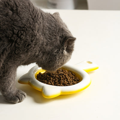 Plato Cerámico para Gatos - Comedero Poco Profundo Antideslizante - Image 12