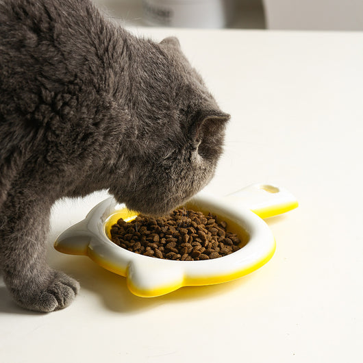 Plato Cerámico para Gatos - Comedero Poco Profundo Antideslizante - Image 12