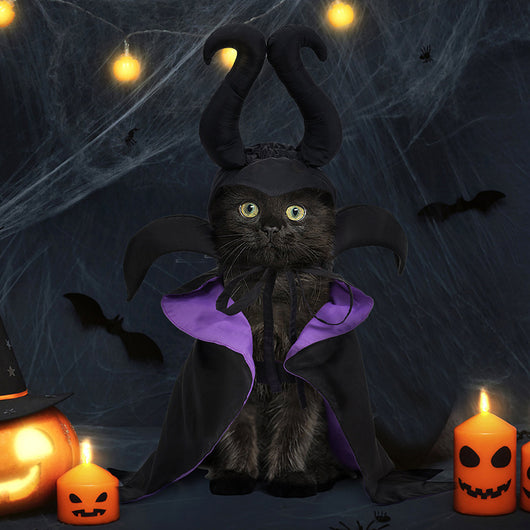 Capa y Sombrero de Halloween para Perros - Disfraz Festivo para Mascotas - Image 3