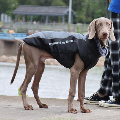 Abrigo Térmico para Mascotas - Protección Invernal - Image 6