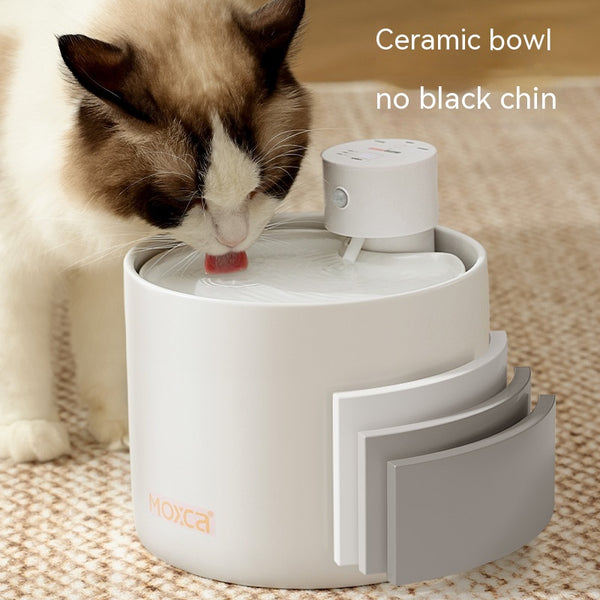 Fuente de Agua Inteligente para Gatos con Filtro y Sensor Automático