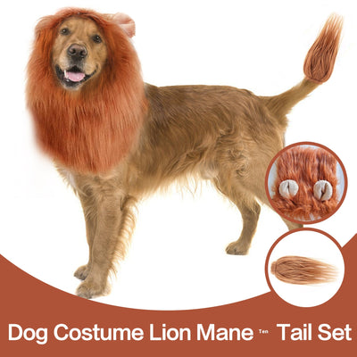 Funda Divertida Cabeza de León - Accesorios Mascotas Rey de la Selva - Image 18