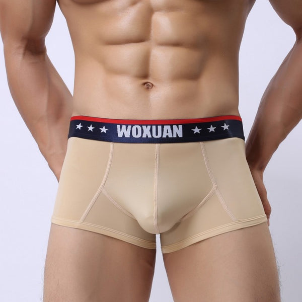 Calzoncillos Hombre Ice Silk Ultrafinos Transpirables