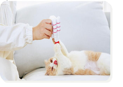 Juguete de Catnip Sushi Antiaburrimiento Resistente a Mordidas - Image 9