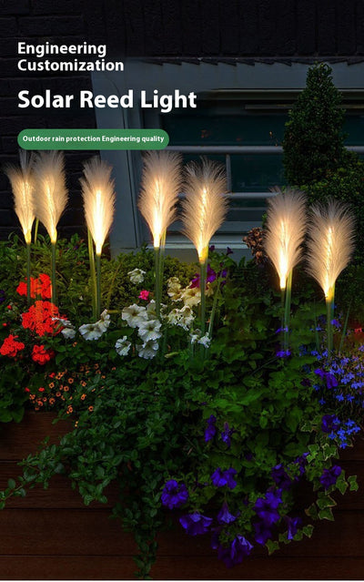 Lámpara Solar LED para Jardín con Diseño de Pasto Pampa - Image 15