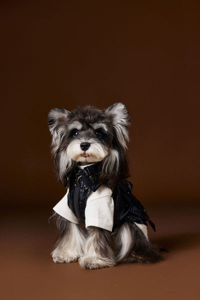 Chaleco de Cuero con Bolsillos de Carga - Diseño Industrial Estampado Mascotas - Image 18