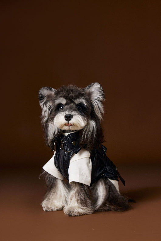 Chaleco de Cuero con Bolsillos de Carga - Diseño Industrial Estampado Mascotas - Image 18