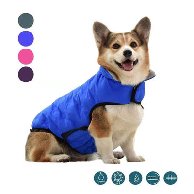 Ropa de Algodón para Perros Otoño e Invierno - Image 6
