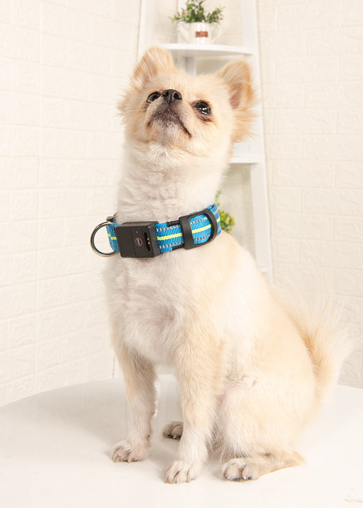 Collar Luminoso para Perro - Image 5