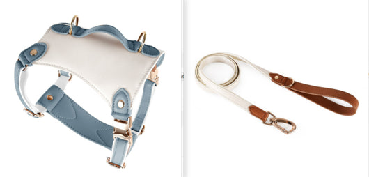 Arnés de Cuero para Mascotas con Cuerda Guía - Image 3
