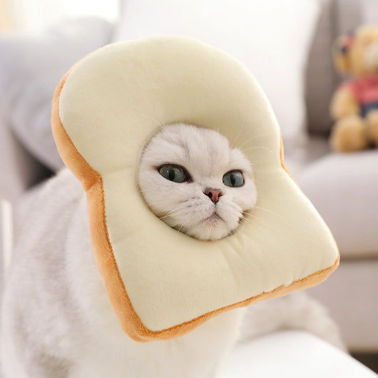 Diadema Gato Divertida para Mascotas - Accesorio Cómico