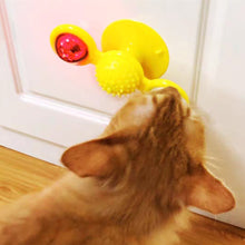 Juguete Interactivo para Gatos con Catnip, Luz LED y Ventosa - Image 17