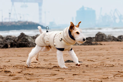 Abrigo Impermeable para Perros - Protección Contra Viento y Frío - Image 24