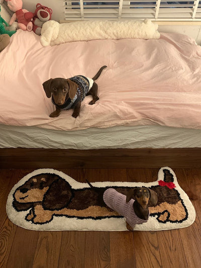 Tapete Perro Salchicha Extra Grueso con Felpa para Sala y Dormitorio - Image 18