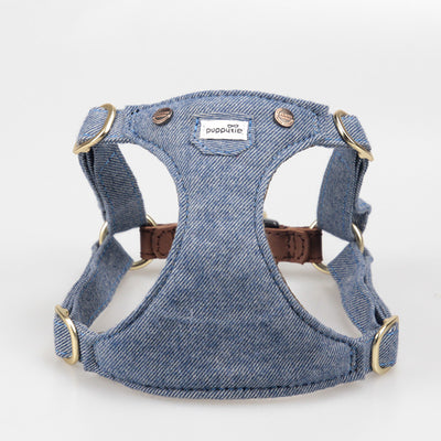 Arnés Ajustable para Perros Pequeños - Diseño Teddy Adorable - Image 6