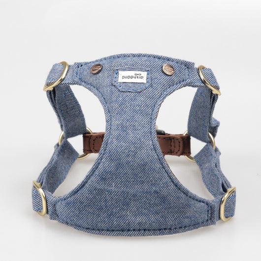 Arnés Ajustable para Perros Pequeños - Diseño Teddy Adorable - Image 6