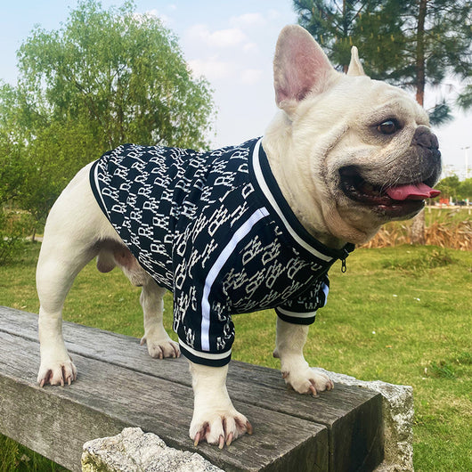 Chamarra Elástica con Cierre para Perros - Ropa Cómoda para Mascotas - Image 10