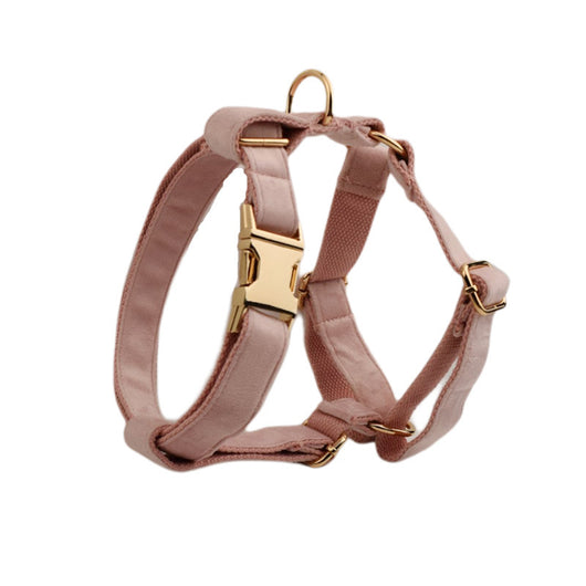 Collar de Terciopelo para Perros - Comodidad y Estilo - Image 12