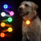 Luz Colgante para Perro - Accesorio Luminoso de Seguridad para Paseos Nocturnos