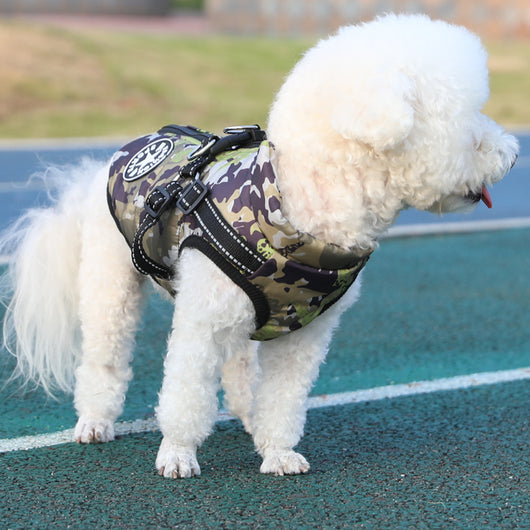 Abrigo Térmico para Perros en Algodón con Forro Grueso - Image 19