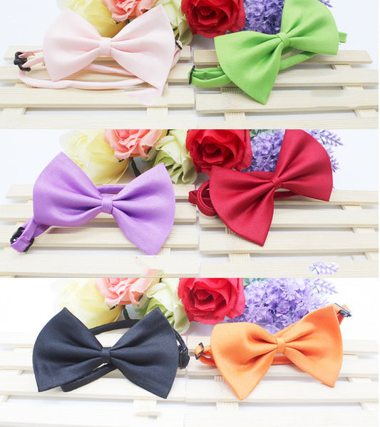 Correas y Accesorios para Mascotas con Diseño Floral y Moños Mariposa