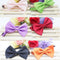 Correas y Accesorios para Mascotas con Diseño Floral y Moños Mariposa