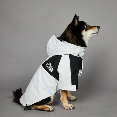 Impermeable para Perros Grandes Resistente al Viento y la Lluvia - Image 8