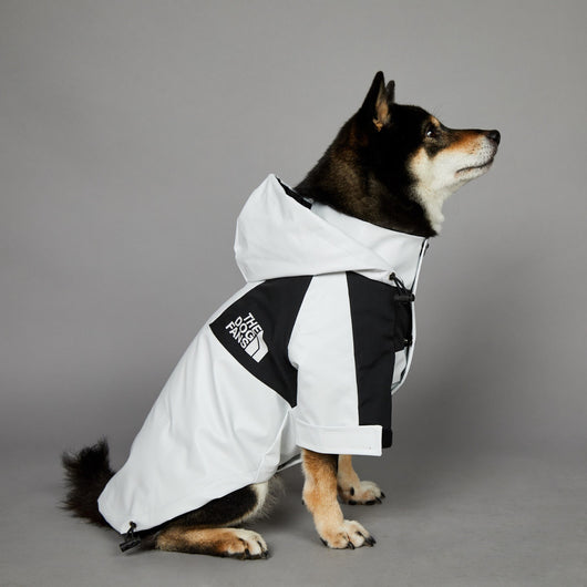 Impermeable para Perros Grandes Resistente al Viento y la Lluvia - Image 8
