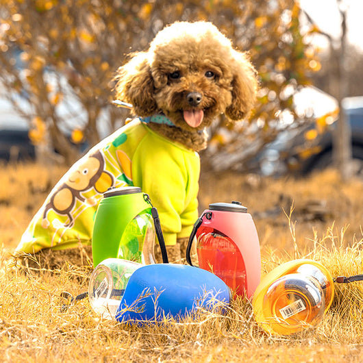 Botella Dispensadora de Agua Portátil para Perros con Cuenco Integrado