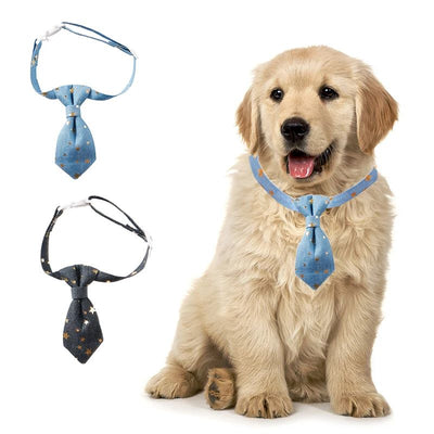 Collar Diseñador para Perros Pequeños y Medianos con Corbata Estrella Dorada Ajustable