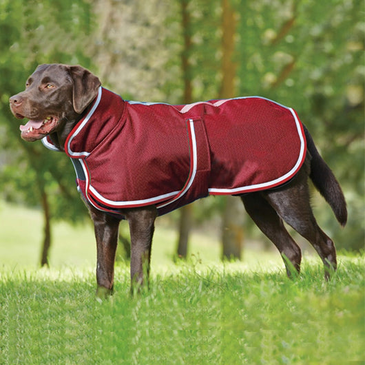Abrigo Impermeable Cálido para Mascotas - Otoño e Invierno - Image 3
