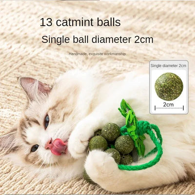 Juguetes Interactivos para Gatos con Hierba Gatera, Palitos Masticables Resistentes - Image 5