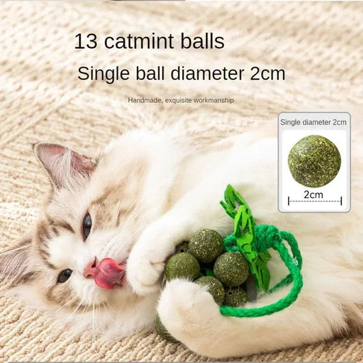 Juguetes Interactivos para Gatos con Hierba Gatera, Palitos Masticables Resistentes - Image 5
