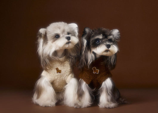 Chaleco Tejido para Perros Schnauzer y Bichón - Diseño 3D con Orejas - Image 13
