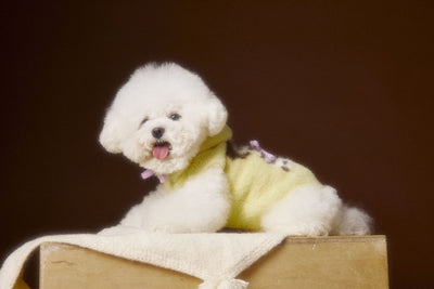 Chaleco Sudadera con Capucha y Estampado de Perrito - Image 11