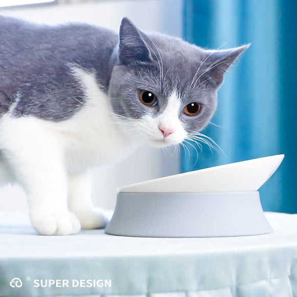 Comedero Ergonómico para Gatos con Soporte Cervical