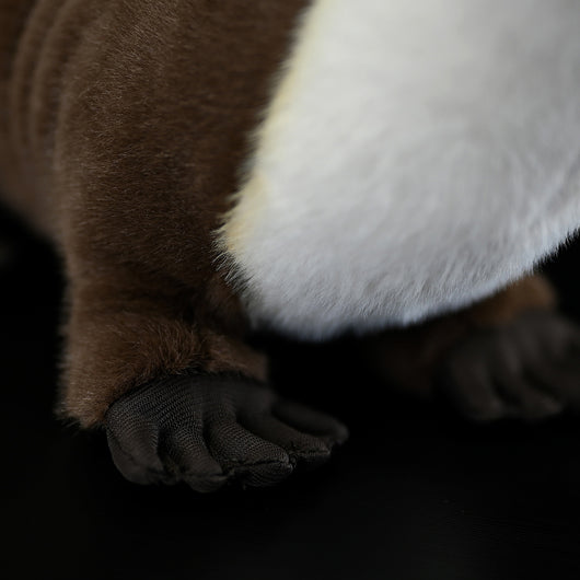 Peluche Nutria Adorable - Image 7