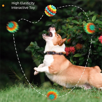 Pelotas de Goma Coloridas para Dentición de Mascotas - Juguetes Duraderos para Perros - Image 13